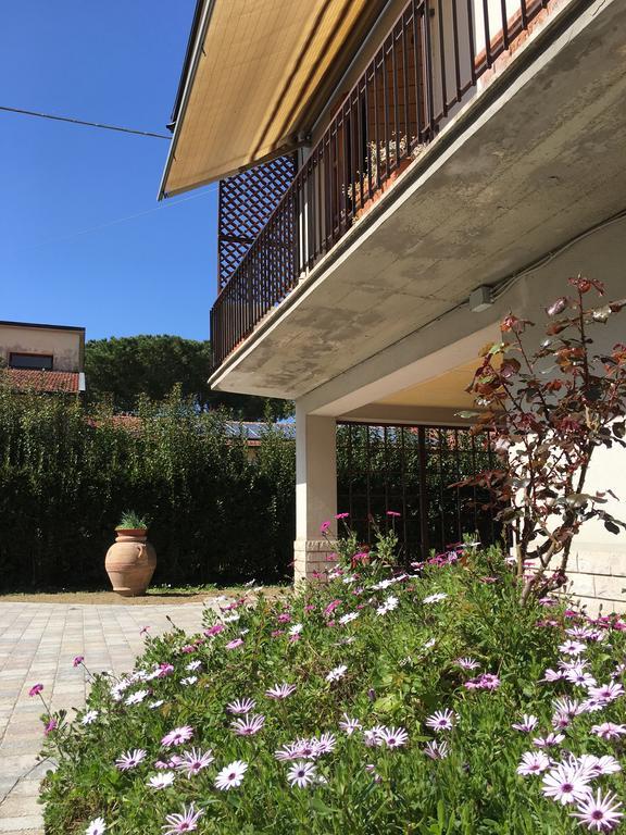 La Casa Di Nila Apartment Pisa Ngoại thất bức ảnh